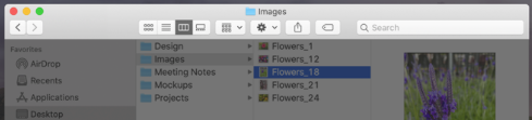 macOS10 tool-title bar.png